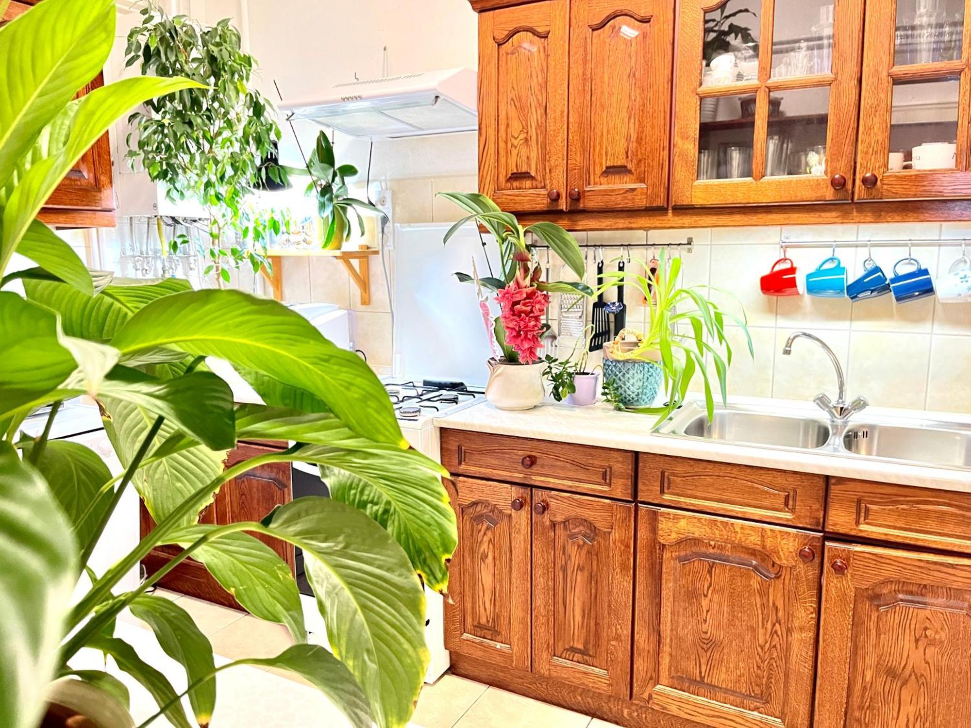 Margaret Bridge Best Spot Apartment Budapest Bagian luar foto
